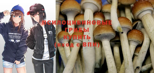 прущие крисы Алексеевка