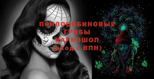 прущая мука Алзамай