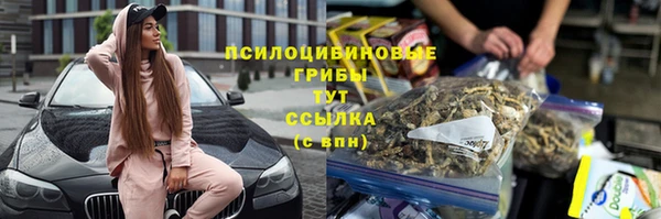 винт Саяногорск
