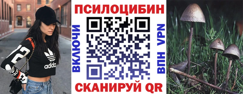 Галлюциногенные грибы мицелий  Лагань 